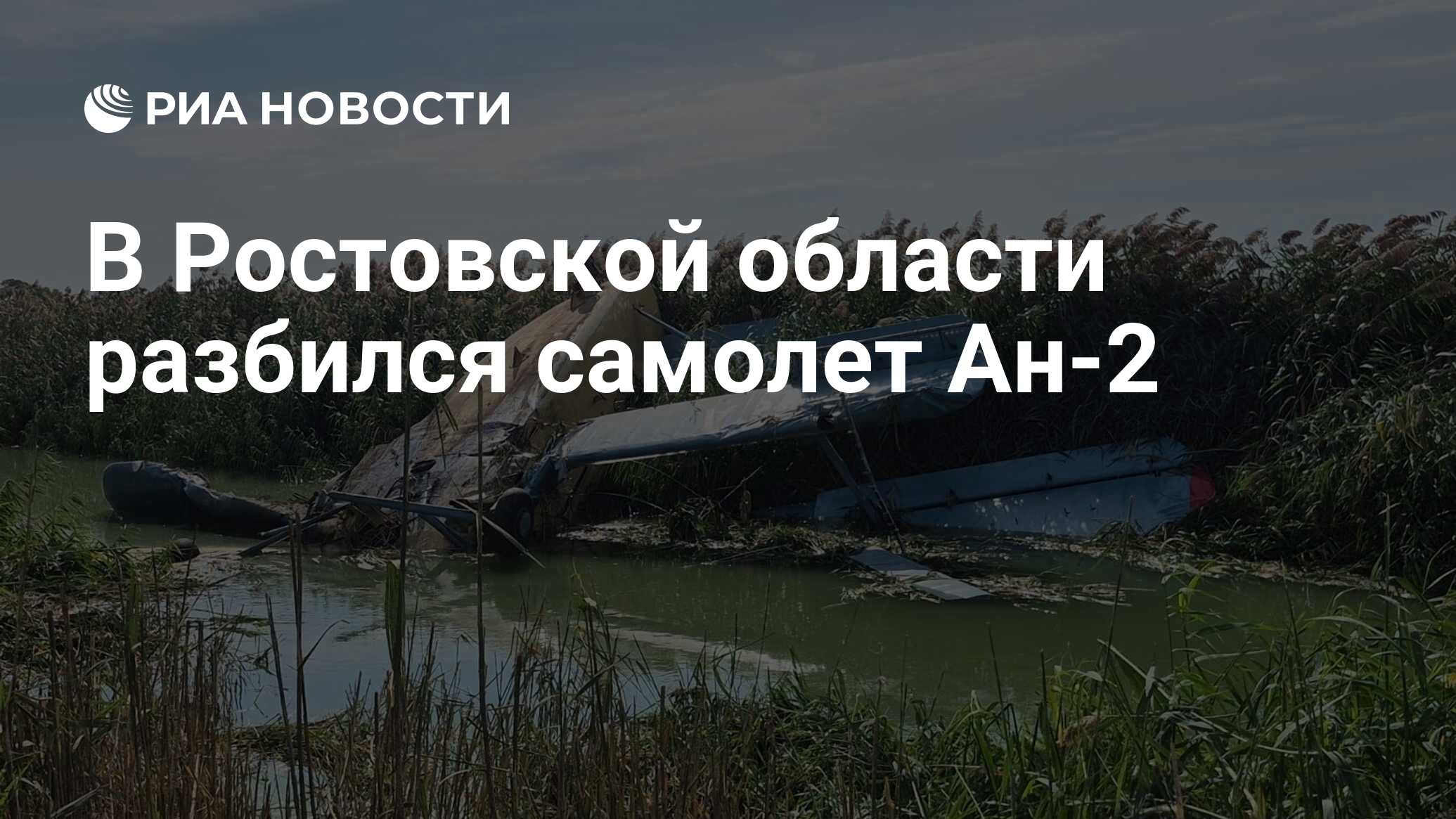ria.ru