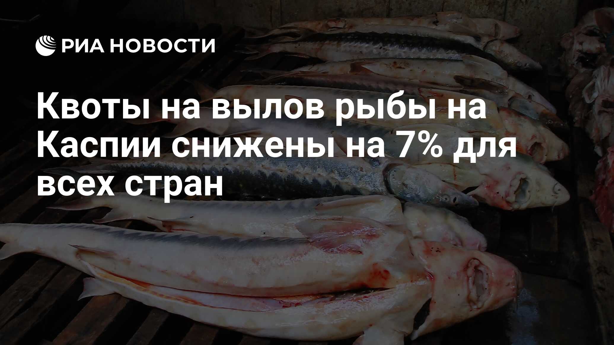 Какая рыба в каспийском море