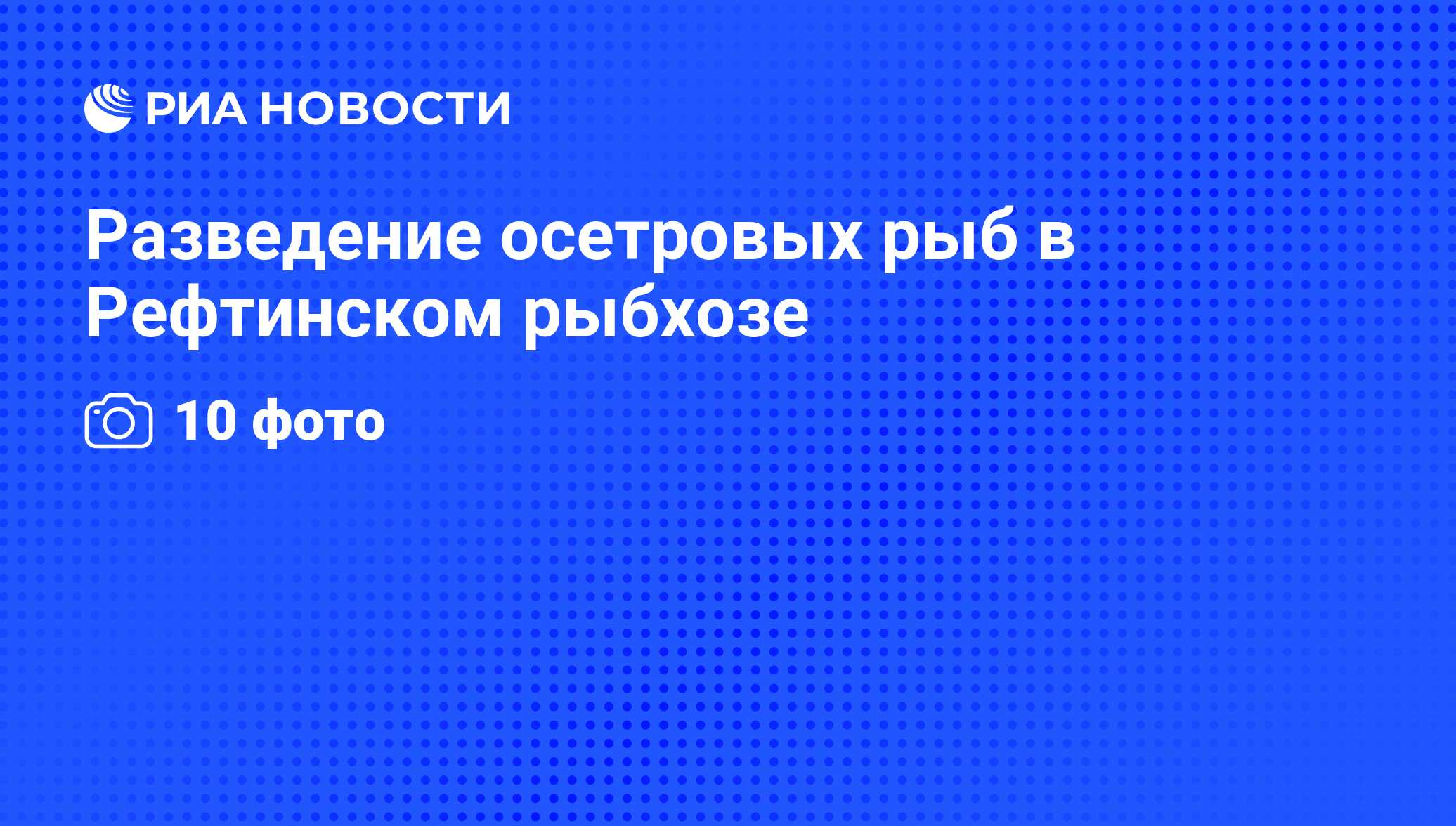 Разведение осетровых рыб в Рефтинском рыбхозе - РИА Новости, 05.07.2010