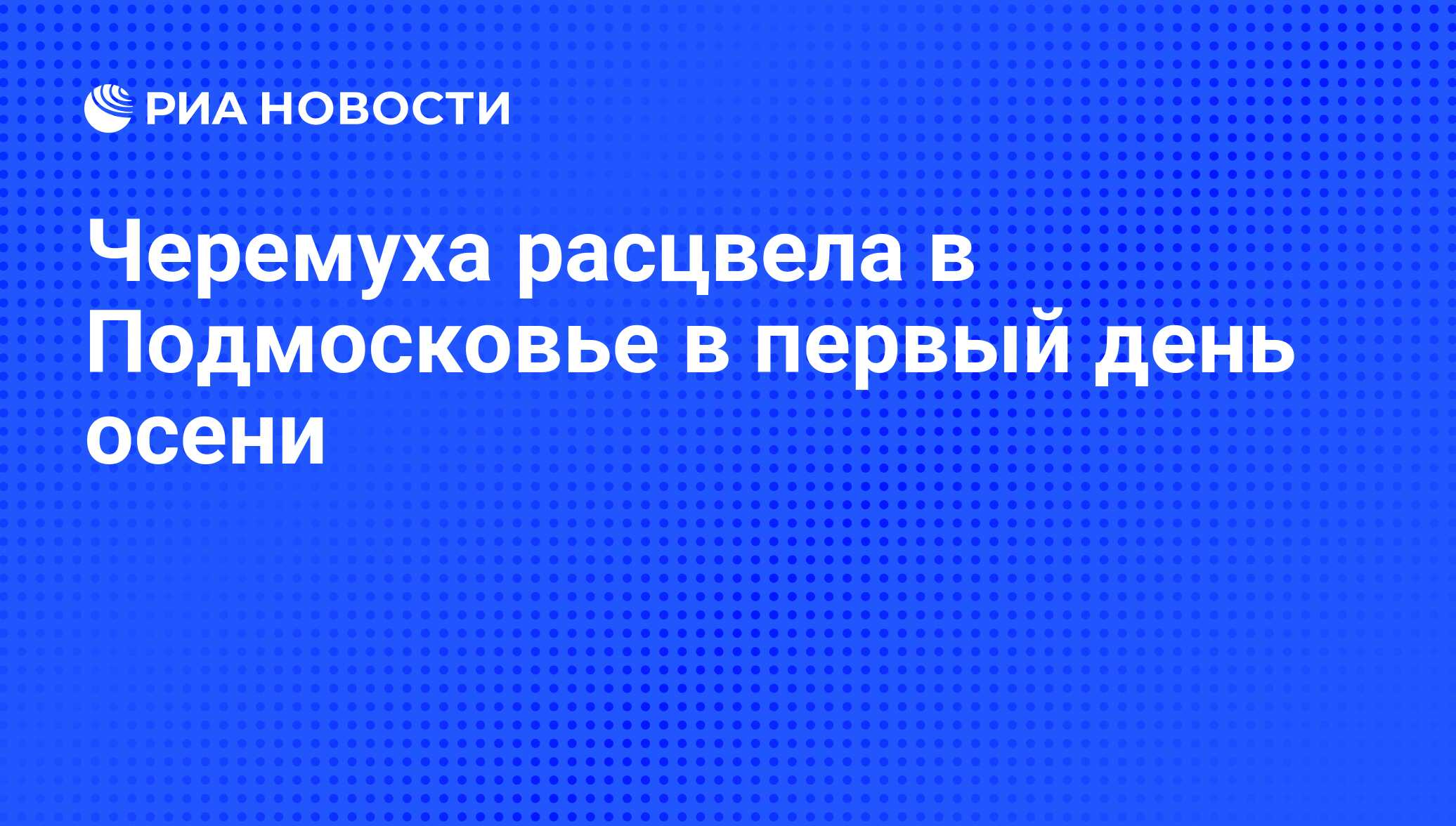 Черемуха расцвела в Подмосковье в первый день осени - РИА Новости,  01.09.2010