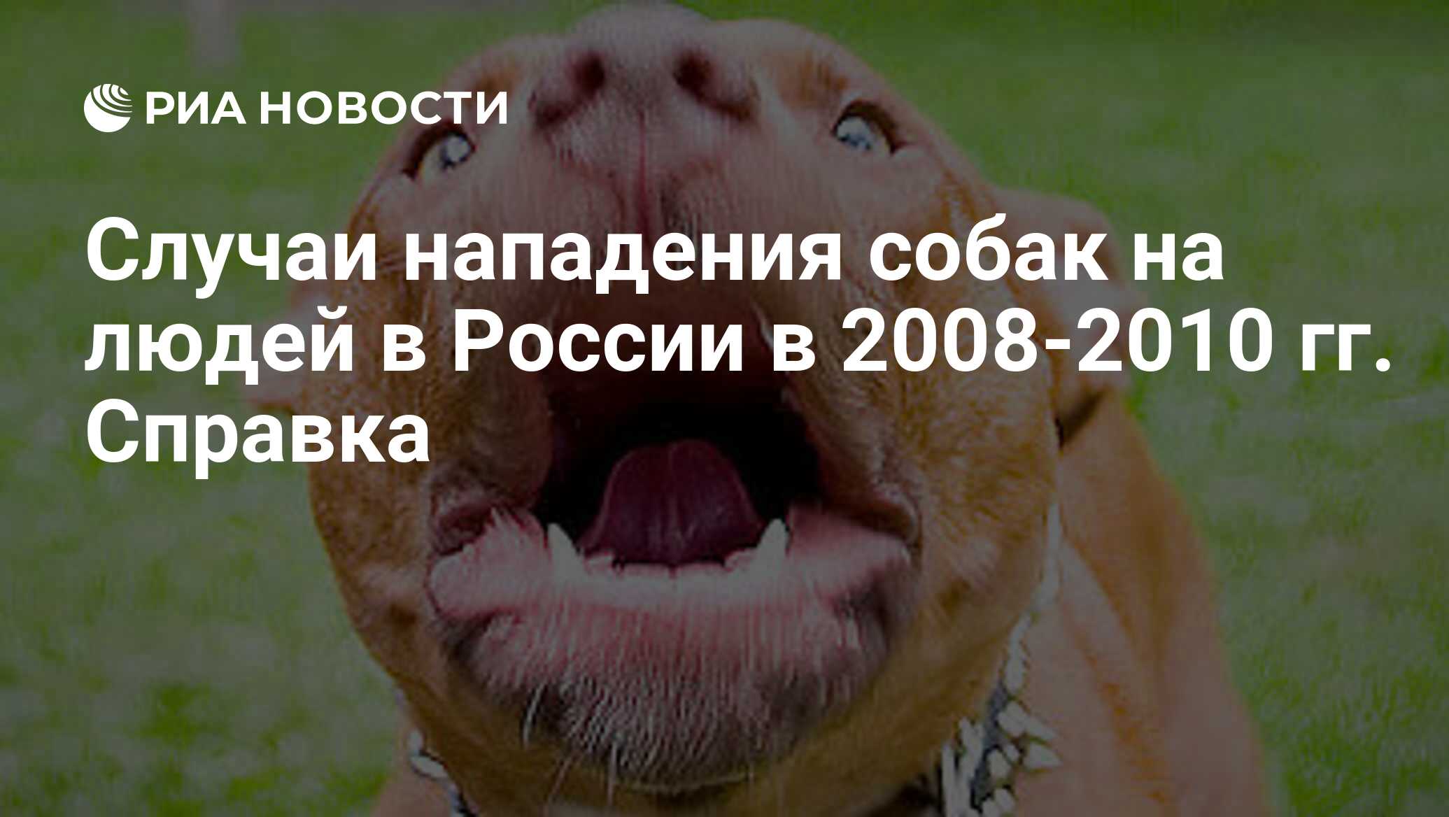 Случаи нападения собак на людей в России в 2008-2010 гг. Справка - РИА  Новости, 29.02.2020