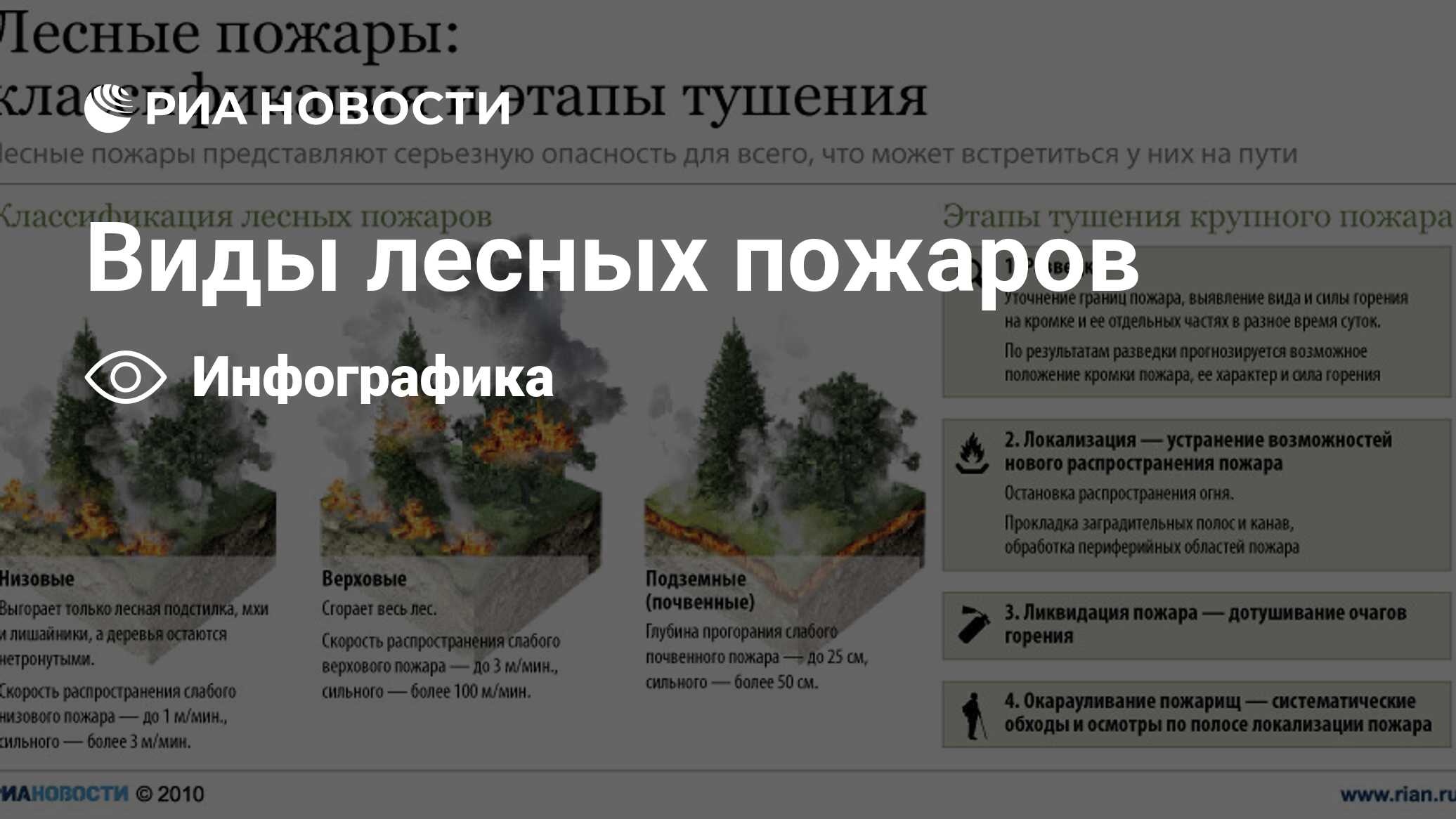 Виды лесных пожаров - РИА Новости, 18.04.2011