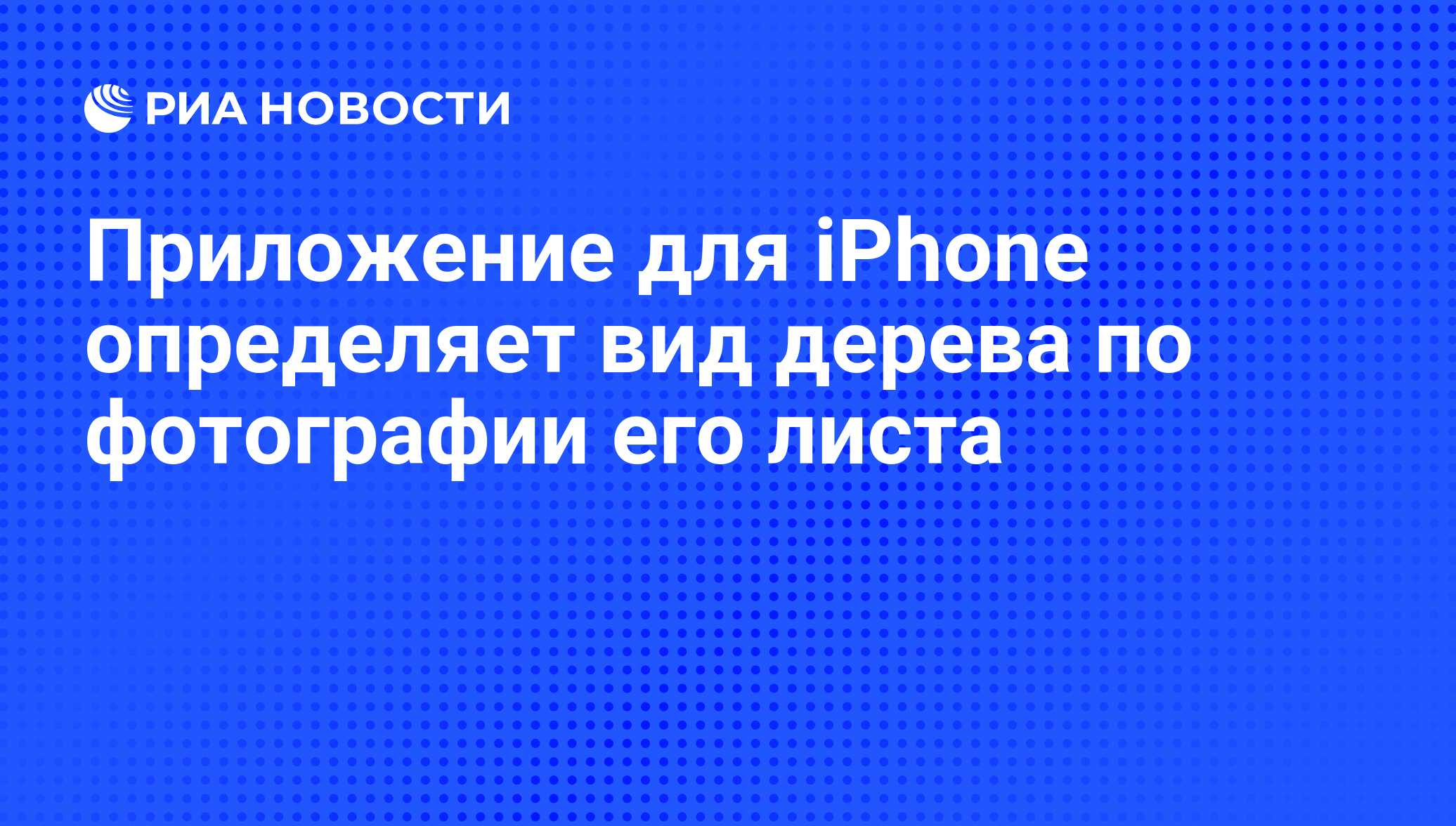 Приложение для iPhone определяет вид дерева по фотографии его листа - РИА  Новости, 10.05.2011