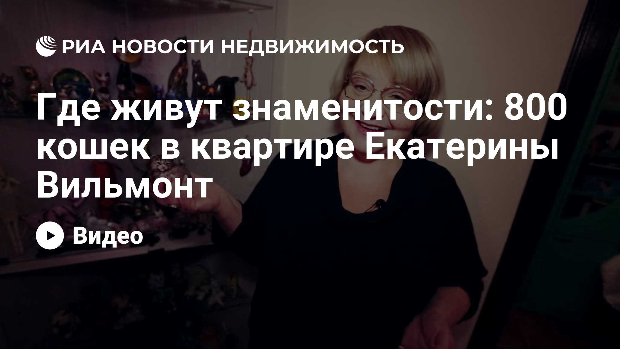 Где живут знаменитости: 800 кошек в квартире Екатерины Вильмонт