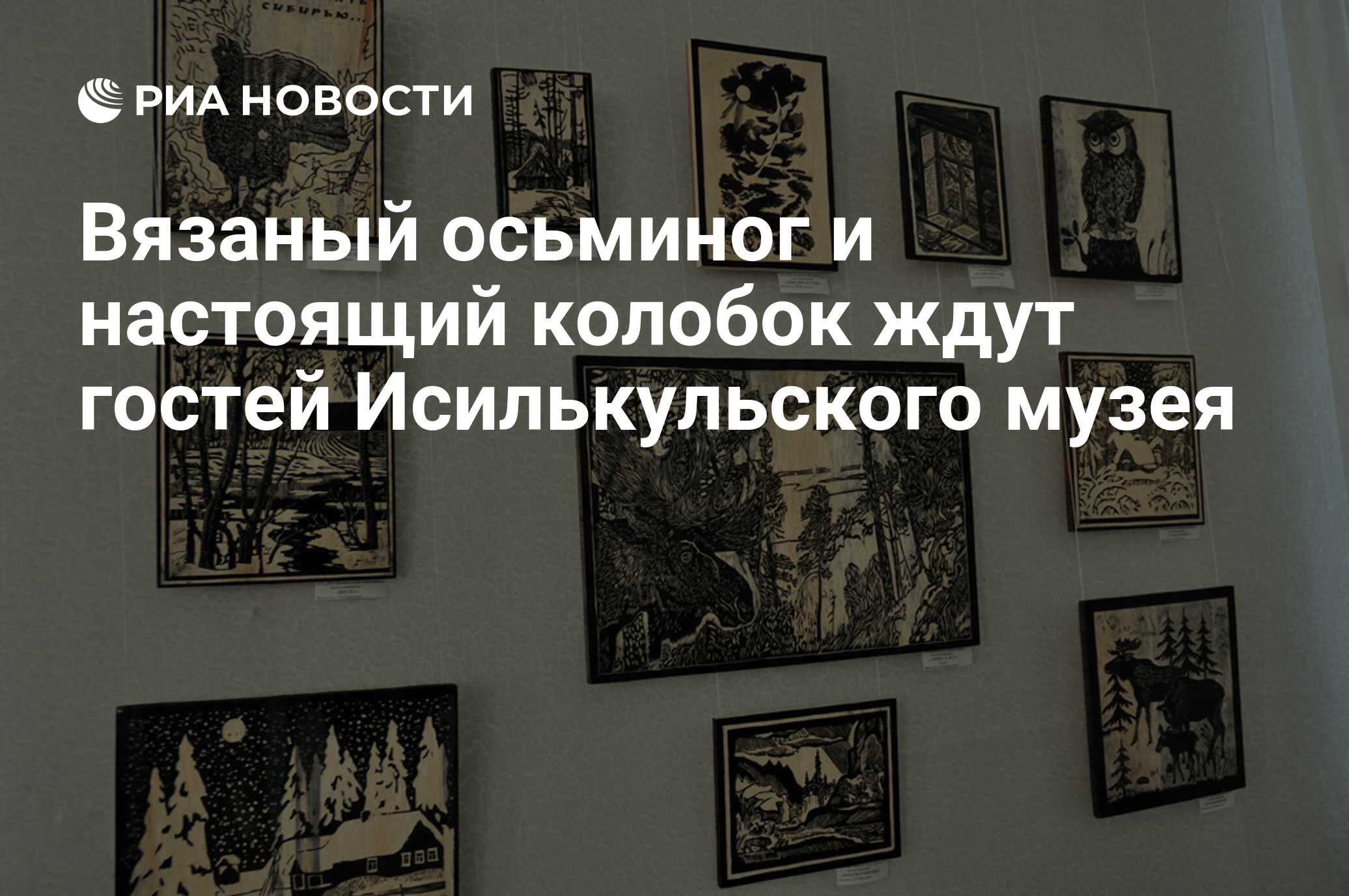 Вязаный осьминог и настоящий колобок ждут гостей Исилькульского музея - РИА  Новости, 25.07.2011