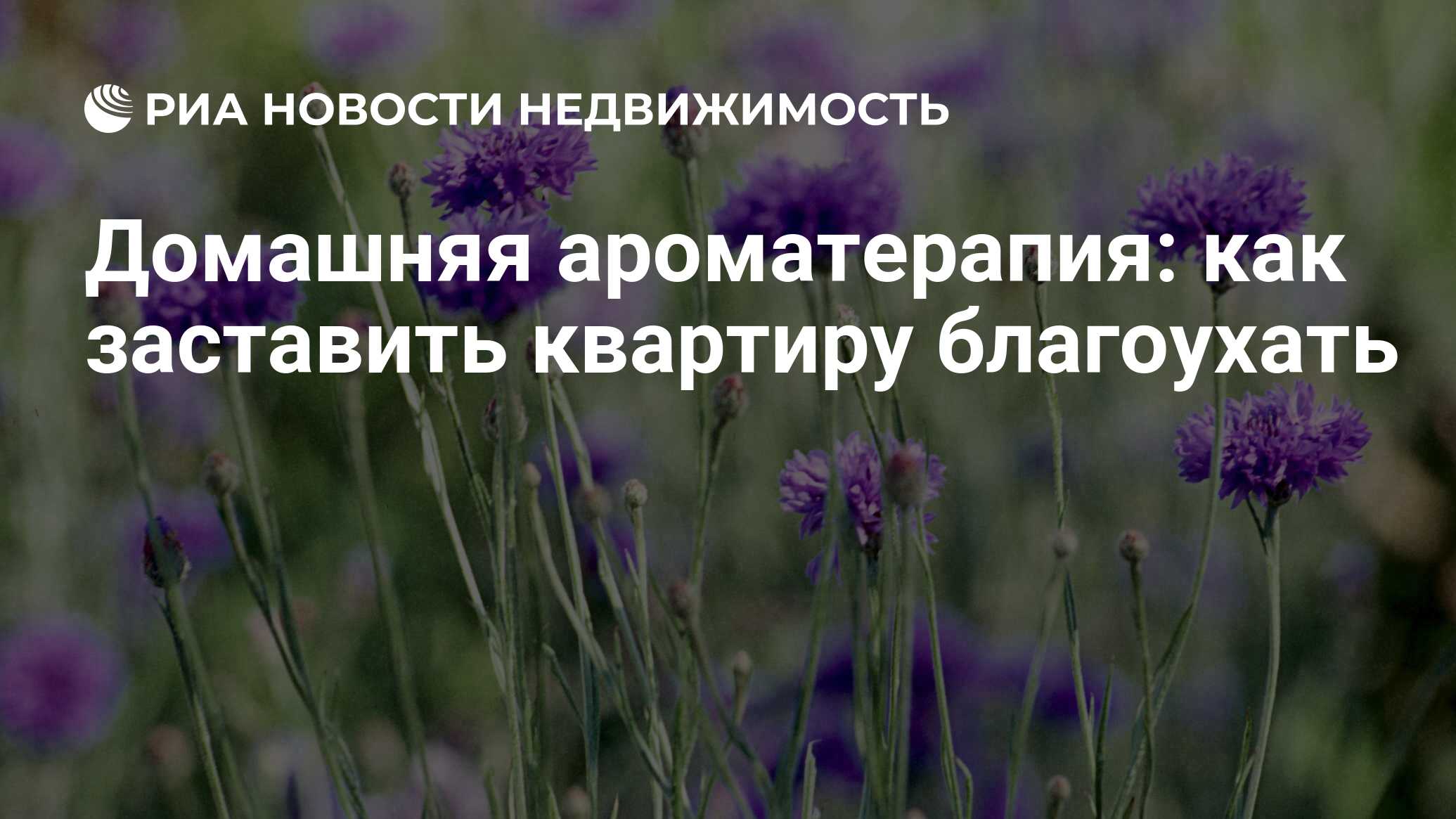 Домашняя ароматерапия: как заставить квартиру благоухать - Недвижимость РИА  Новости, 21.03.2017