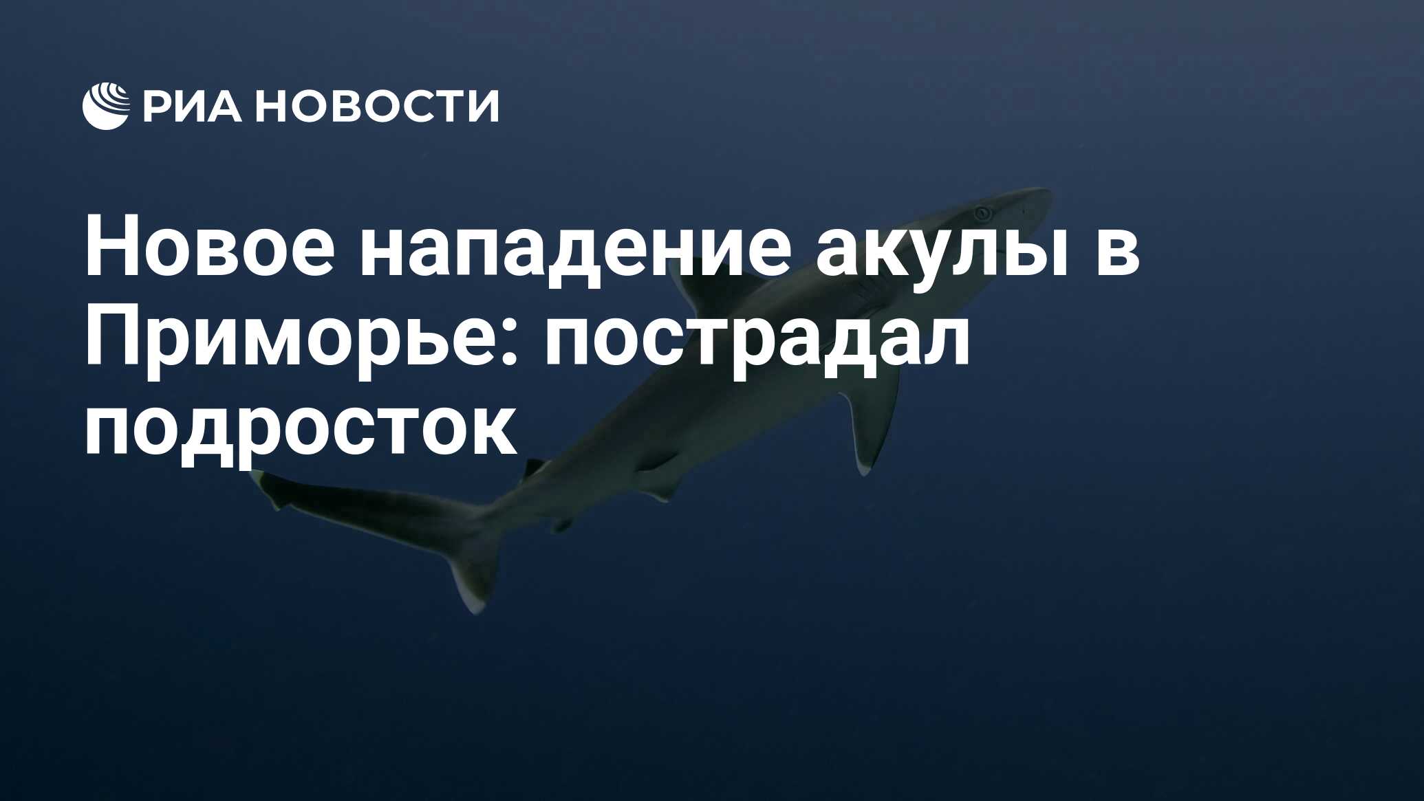 Карта нападения акул 2021. Акулы напали на туристов на Anse Lazio. Средства защиты от акул. Акулы под защитой человека.