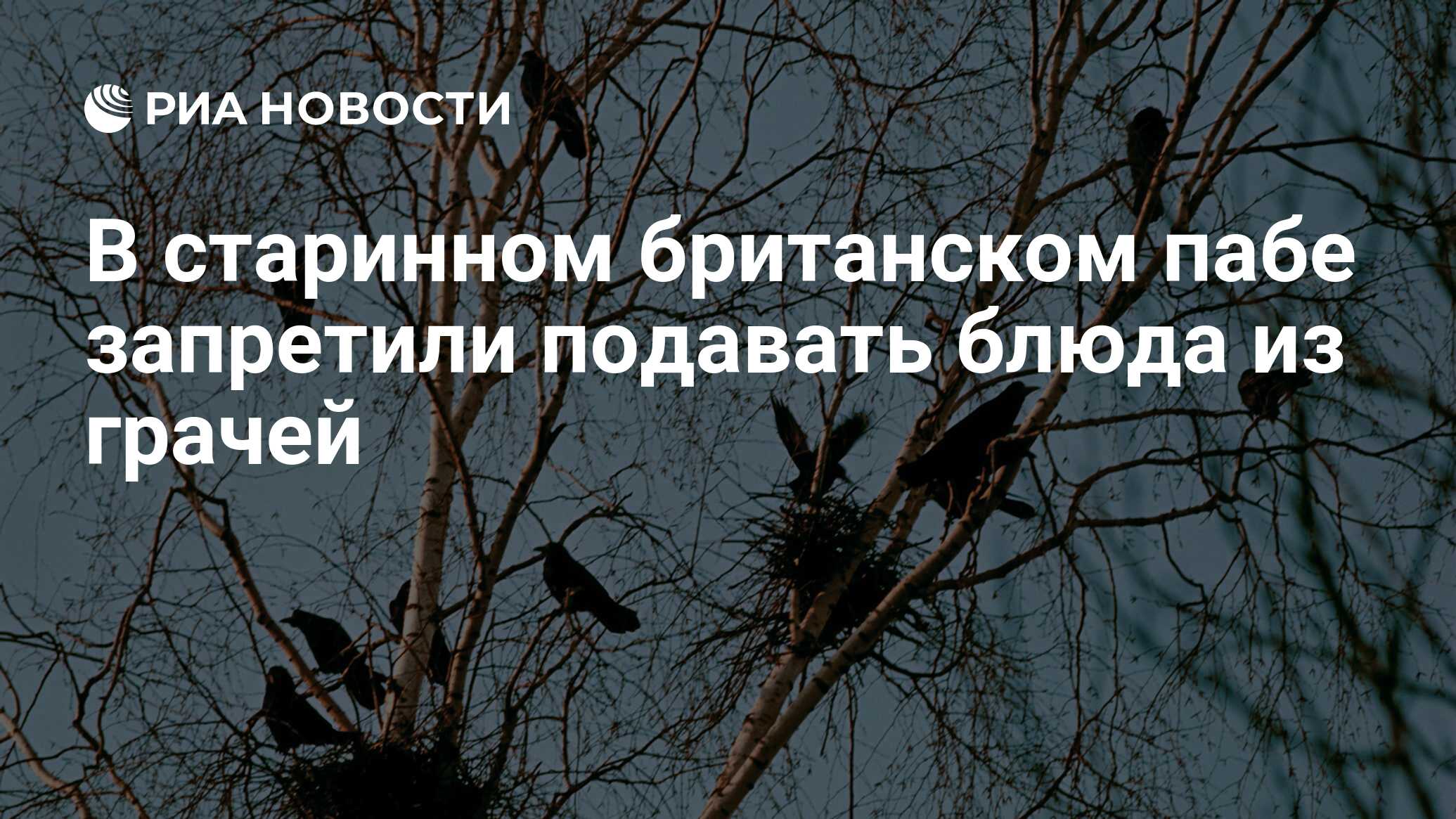 В старинном британском пабе запретили подавать блюда из грачей - РИА  Новости, 23.08.2011