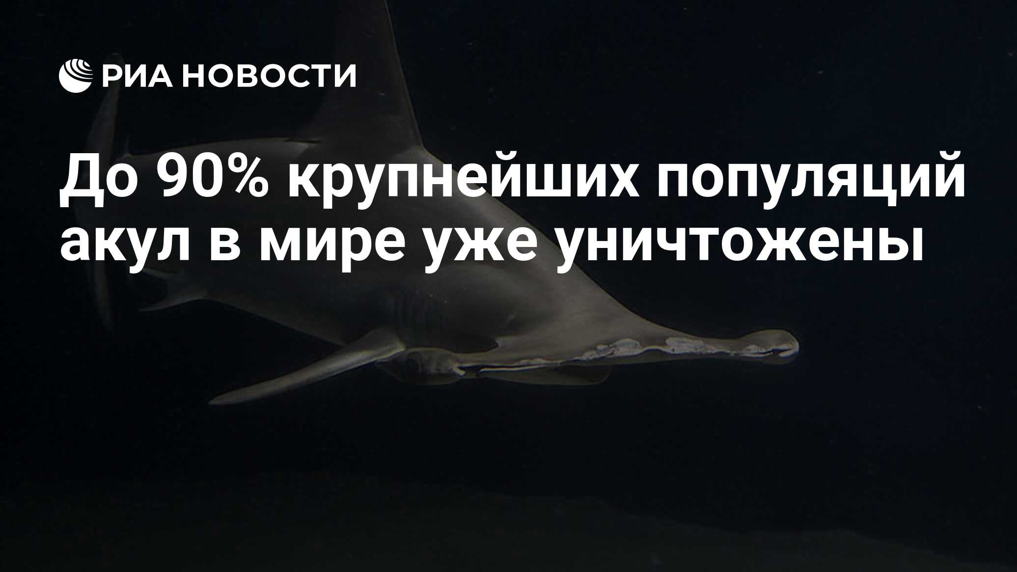 До 90% крупнейших популяций акул в мире уже уничтожены - РИА Новости,  24.08.2011