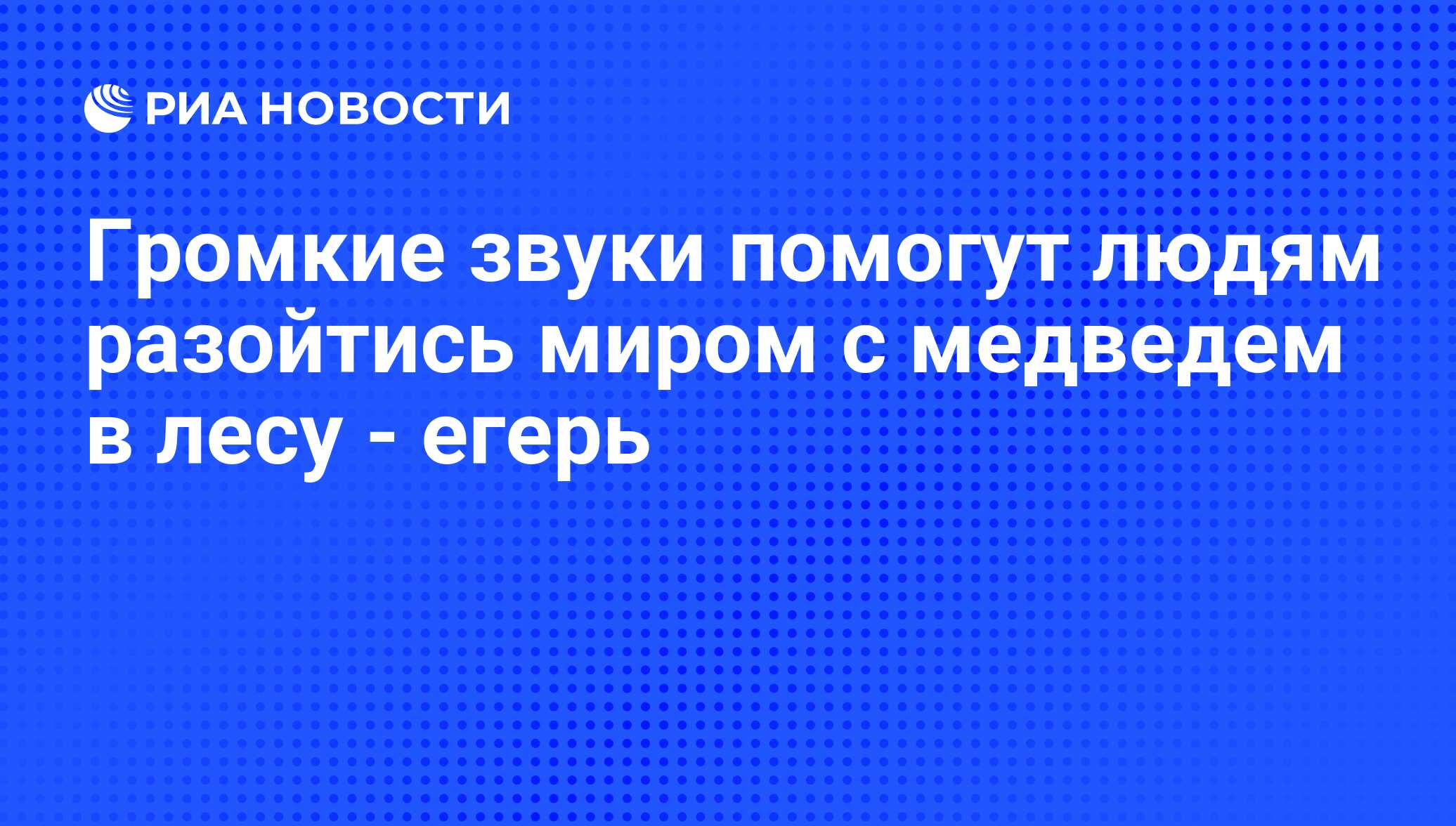 Громкие звуки помогут людям разойтись миром с медведем в лесу - егерь - РИА  Новости, 06.06.2013