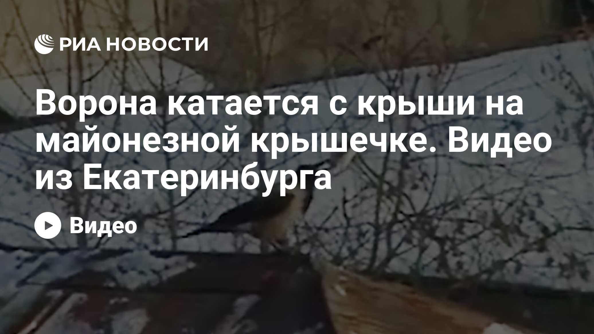 Ворона катается с крыши на майонезной крышечке. Видео из Екатеринбурга