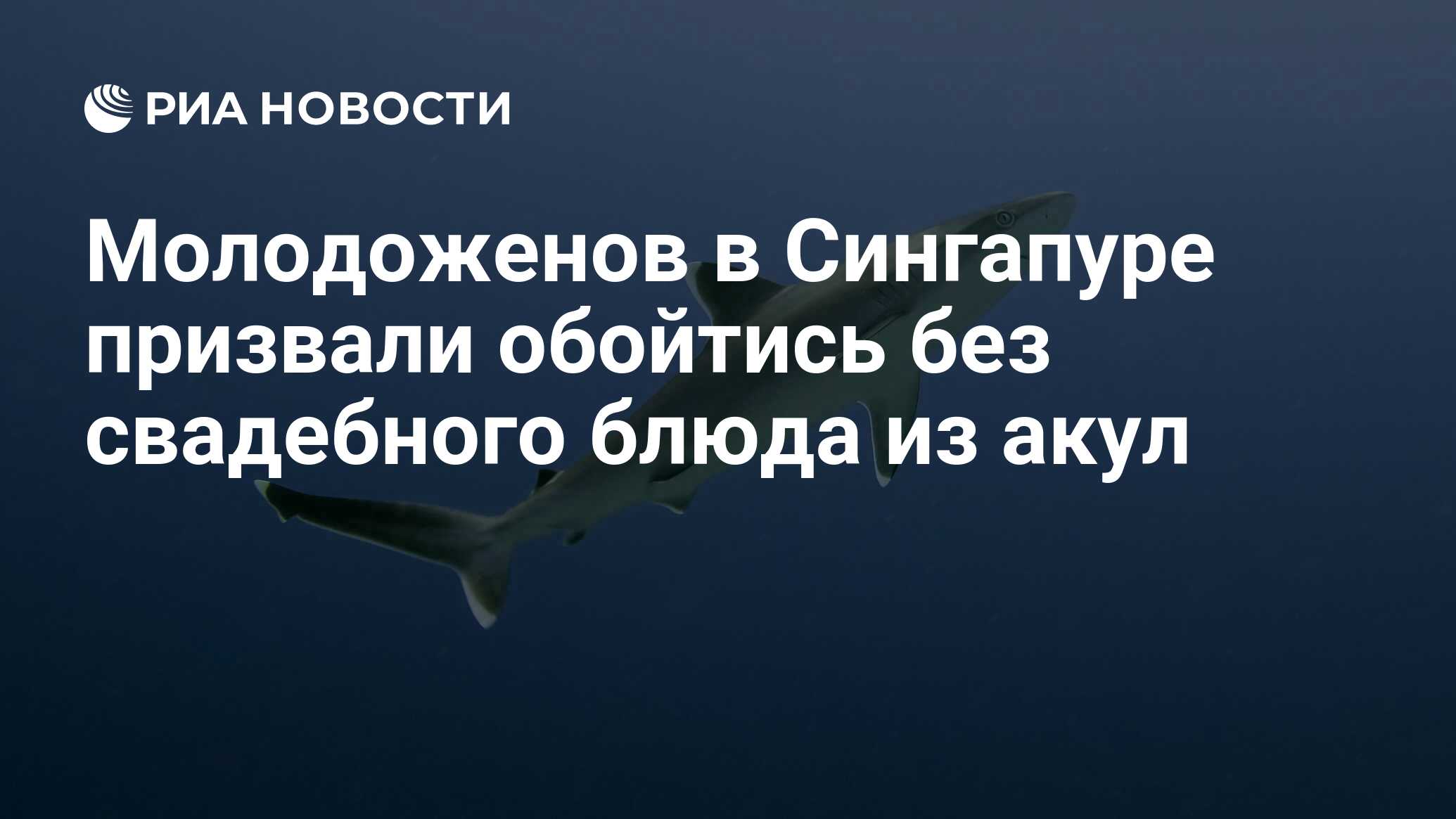 Молодоженов в Сингапуре призвали обойтись без свадебного блюда из акул -  РИА Новости, 26.01.2012