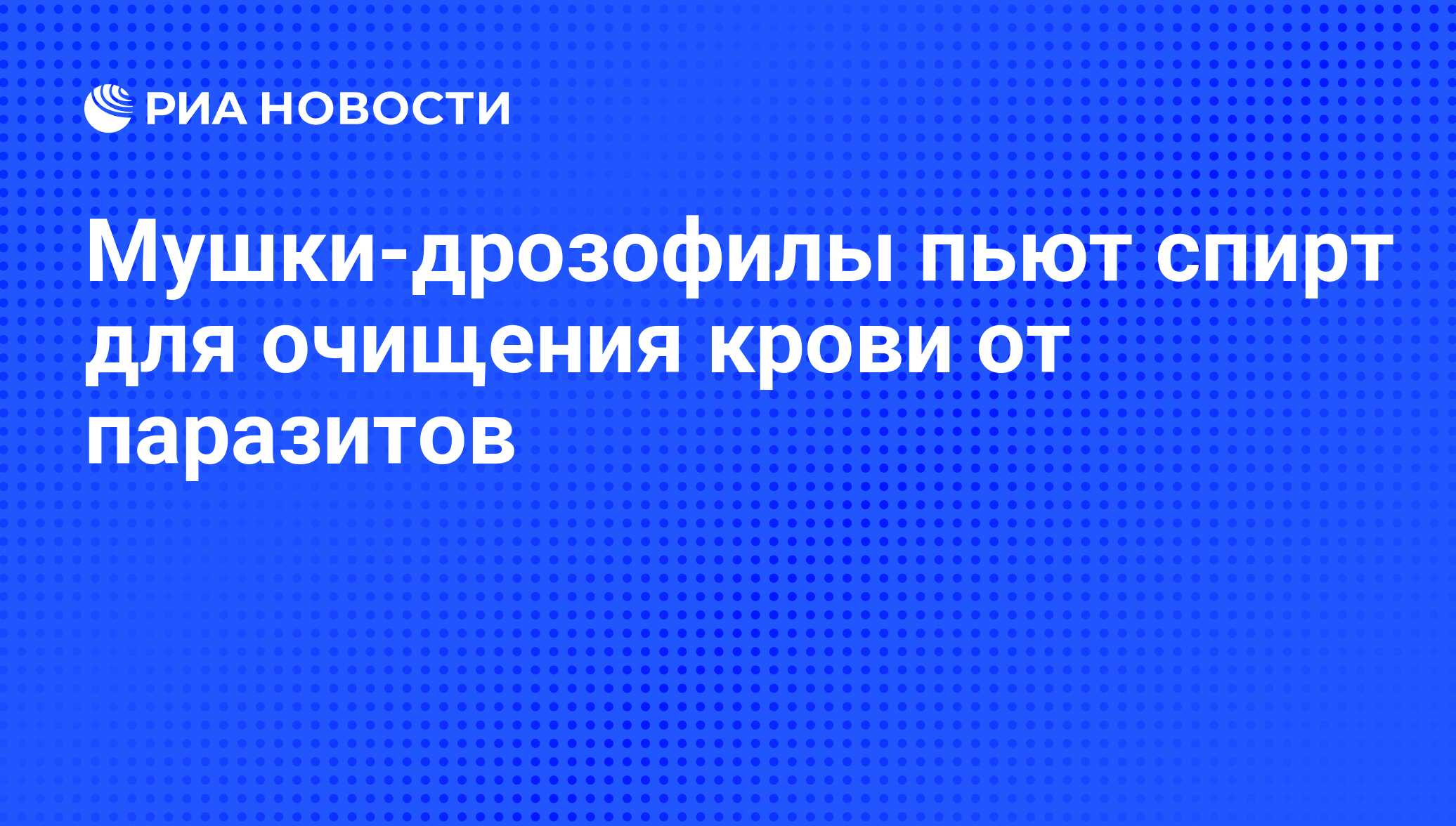 Мушки-дрозофилы пьют спирт для очищения крови от паразитов - РИА Новости,  16.02.2012