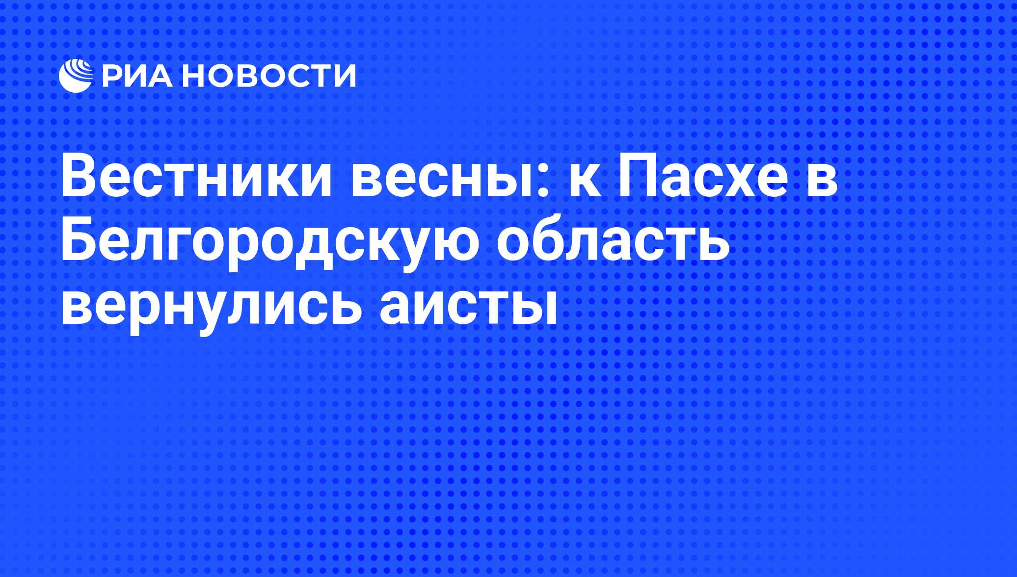 Вестники весны: к Пасхе в Белгородскую область вернулись аисты - РИА  Новости, 29.02.2020