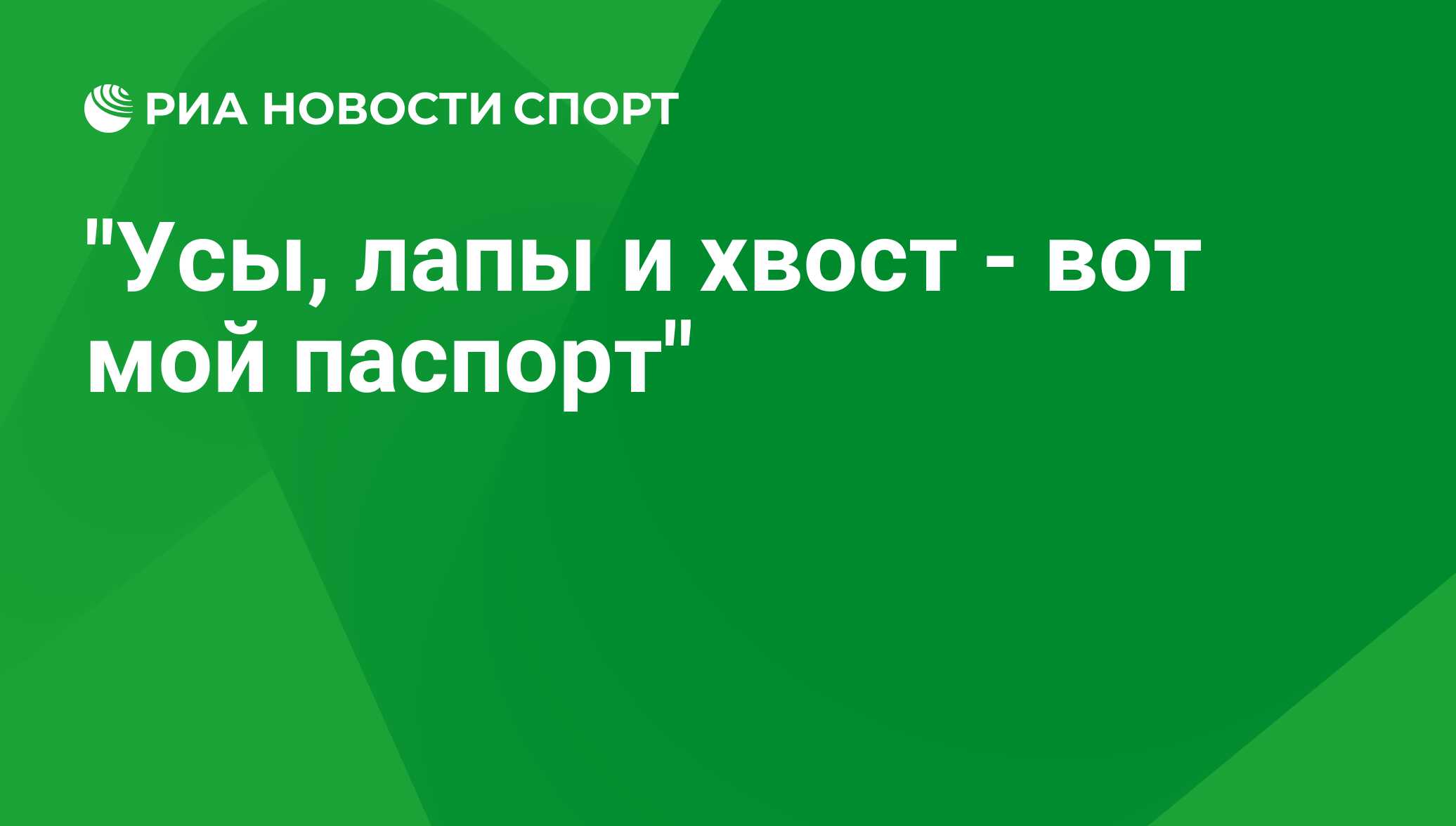 усы лапы и хвост вот мои документы фанфик фото 57