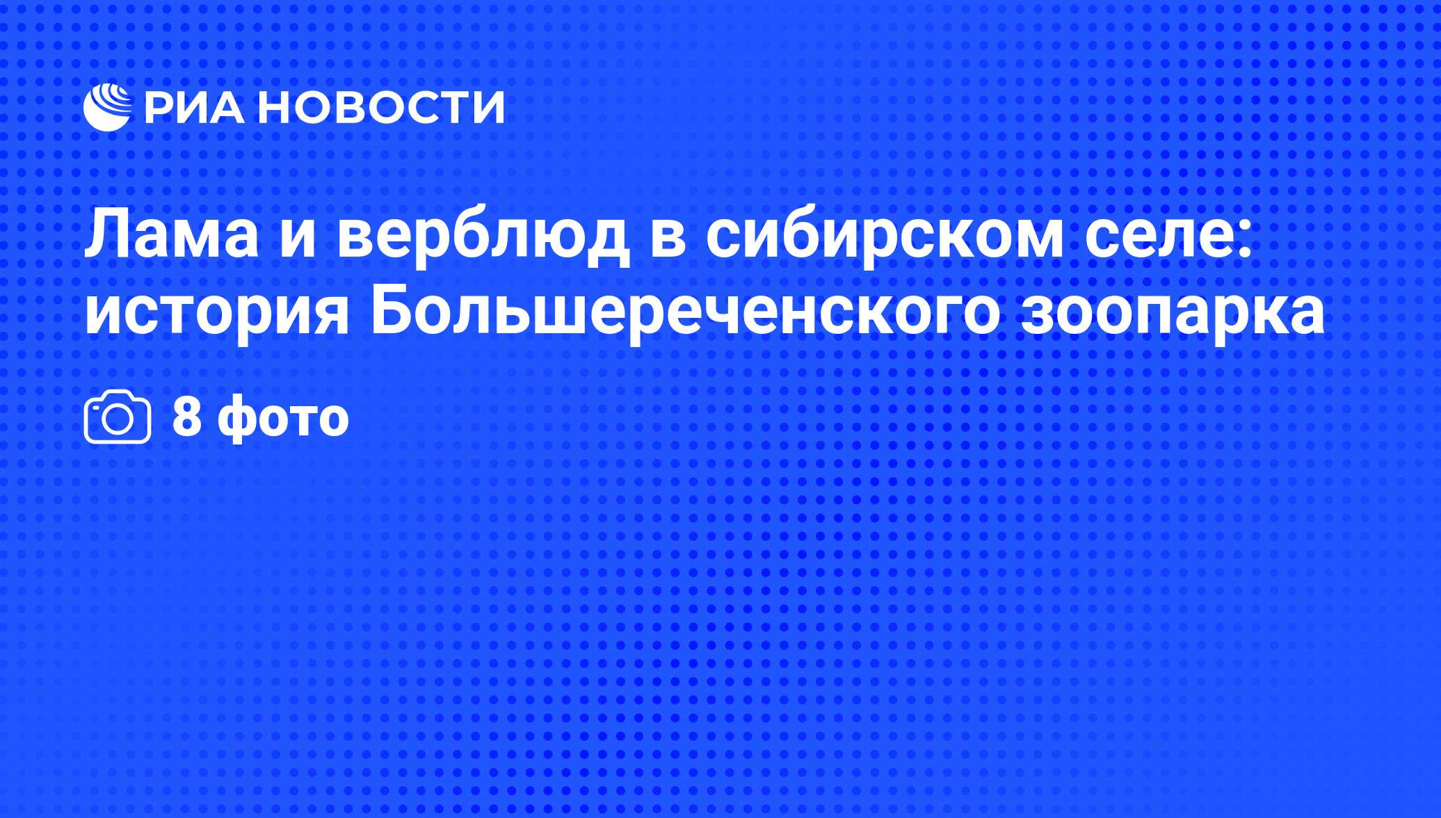 Лама и верблюд в сибирском селе: история Большереченского зоопарка - РИА  Новости, 11.07.2012