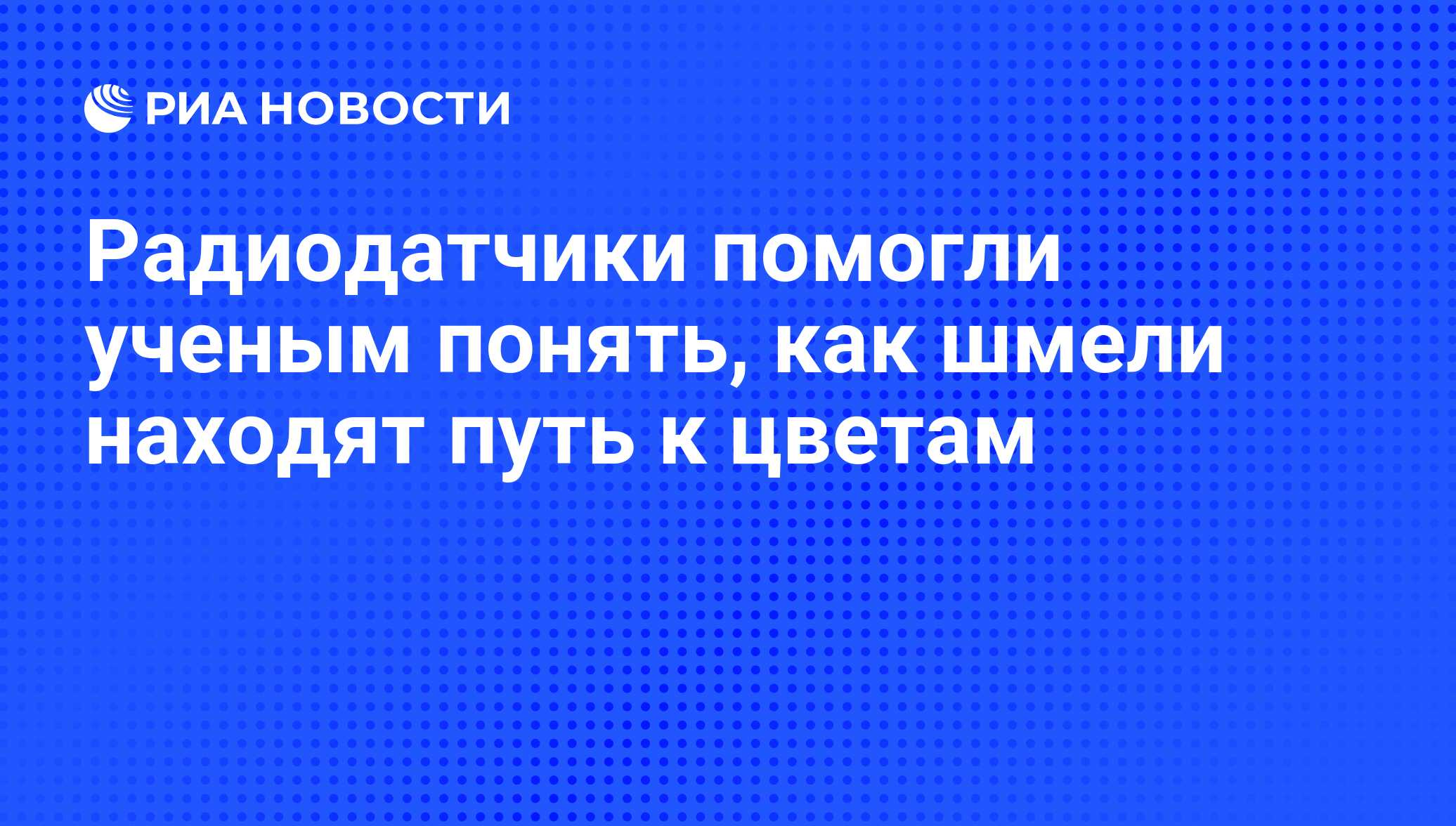 Радиодатчики помогли ученым понять, как шмели находят путь к цветам - РИА  Новости, 19.09.2012