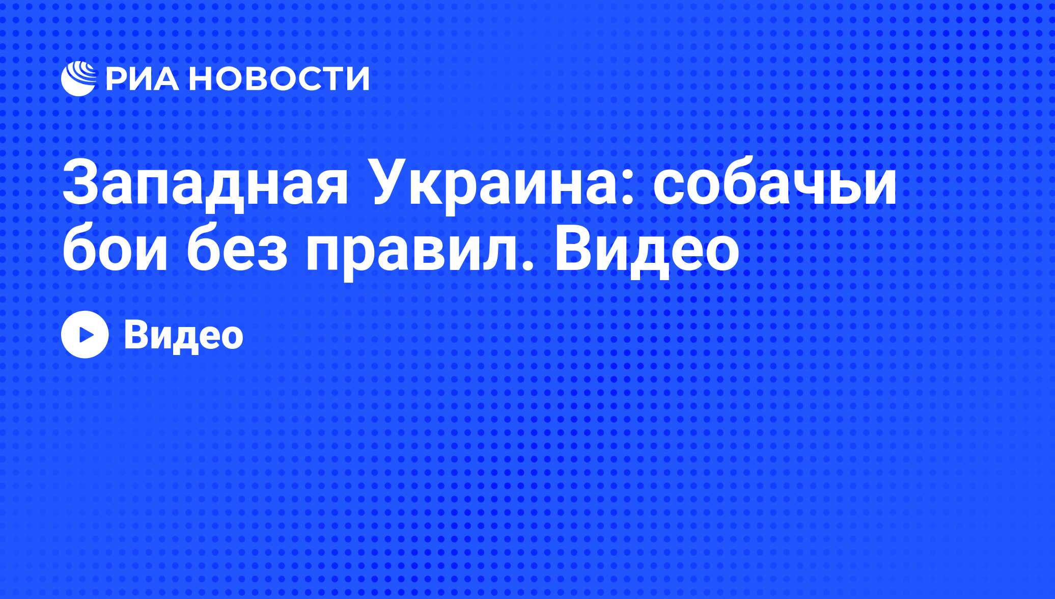 Западная Украина: собачьи бои без правил. Видео - РИА Новости, 07.06.2008