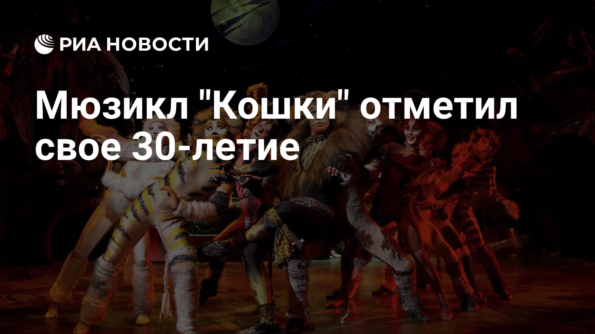Мюзикл эндрю ллойда уэббера. Кошки эндрю ллойд уэббер. билет на мюзикл кошки. фото афиши мюзикла кошки в дом молодежи на фрунзенской.