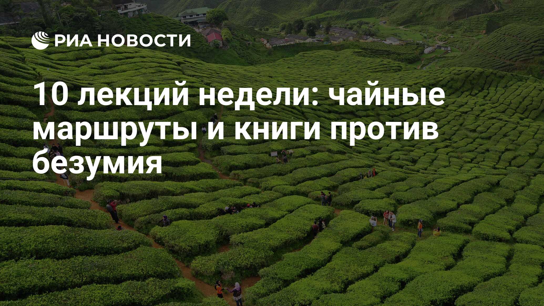 10 лекций недели: чайные маршруты и книги против безумия - РИА Новости,  18.09.2013