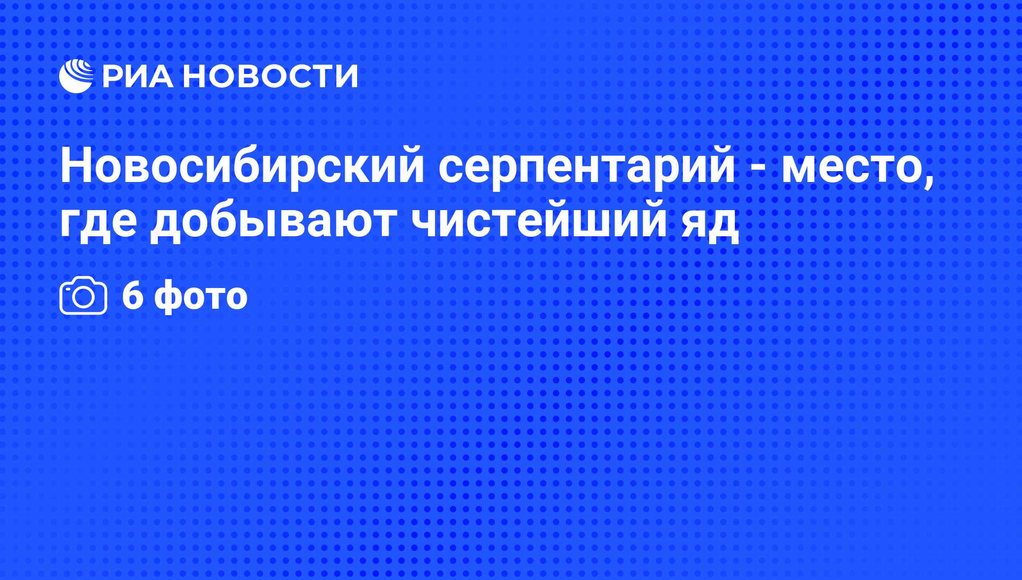 Новосибирский серпентарий - место, где добывают чистейший яд - РИА Новости,  29.02.2020