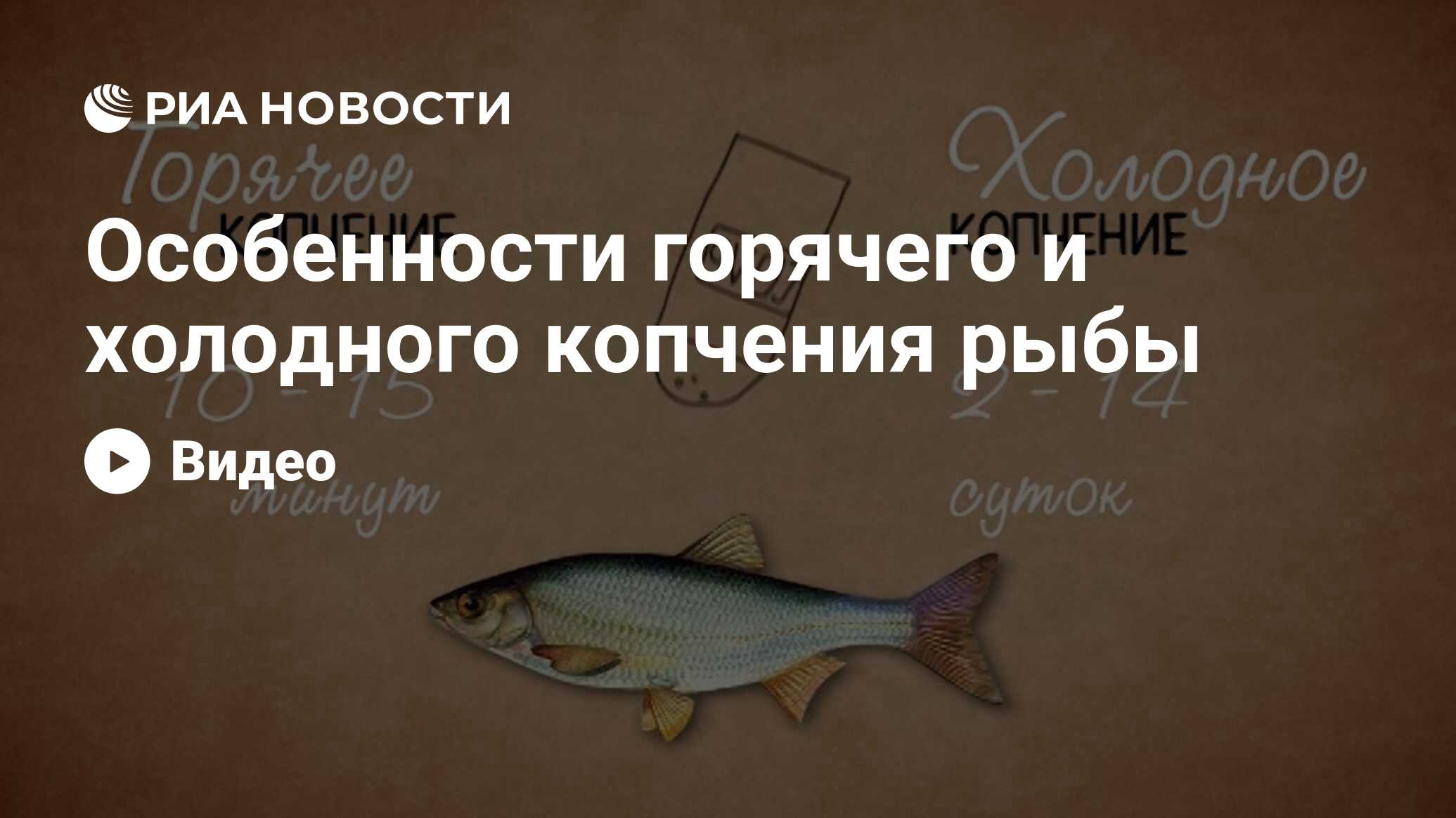 Чем отличается холодное копчение от горячего