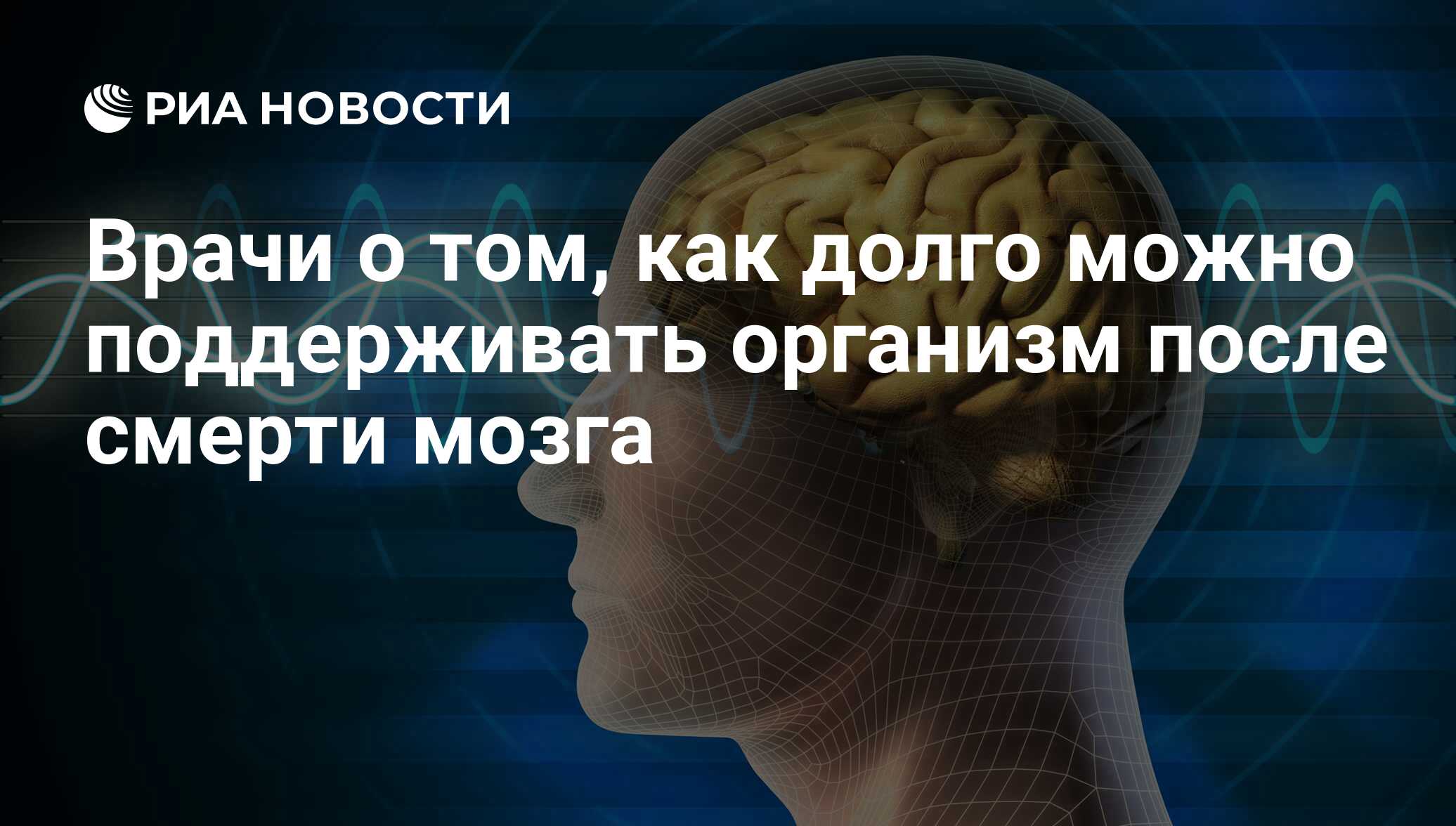 Врачи о том, как долго можно поддерживать организм после смерти мозга - РИА  Новости, 28.02.2013