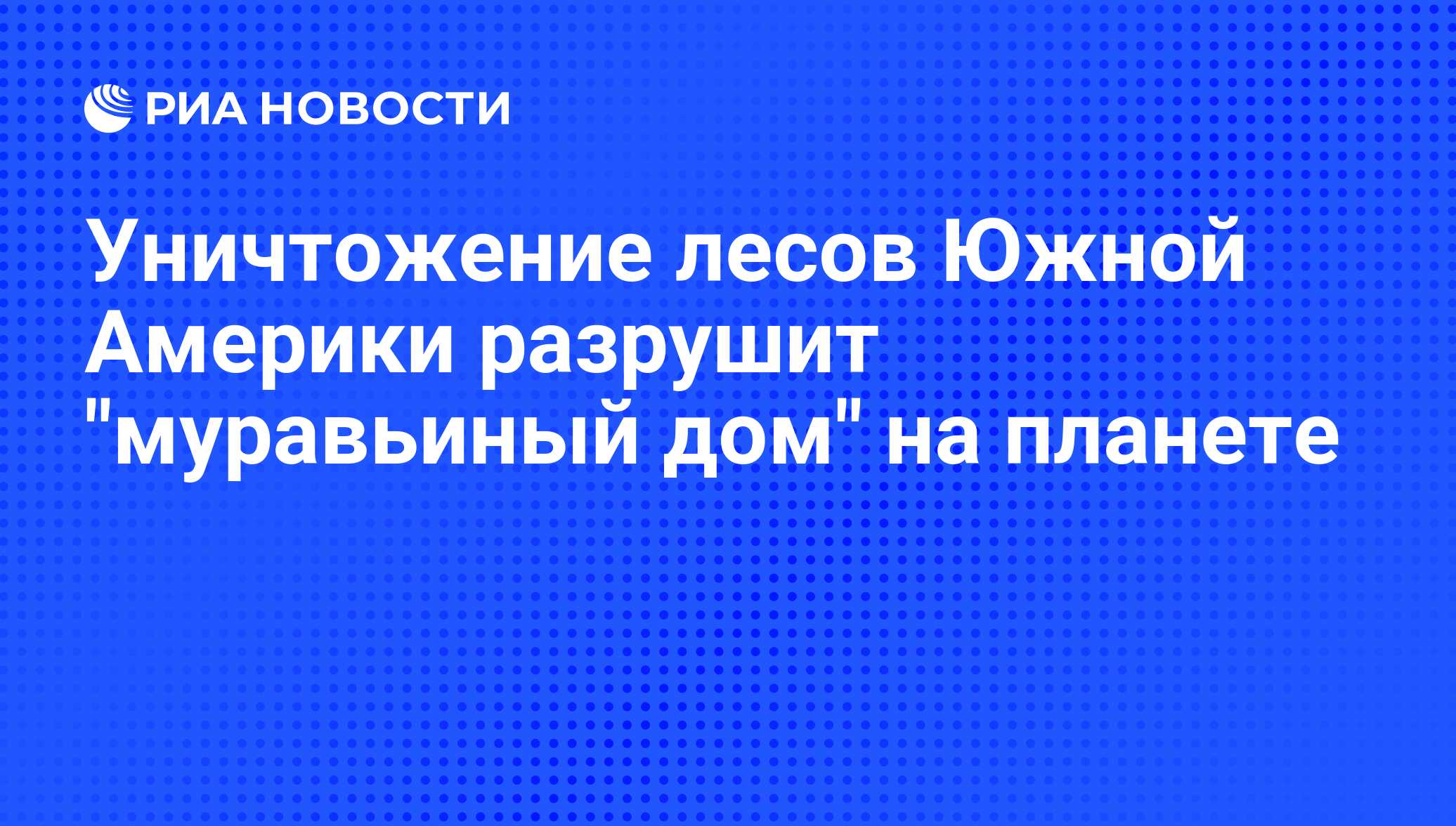 Уничтожение лесов Южной Америки разрушит 