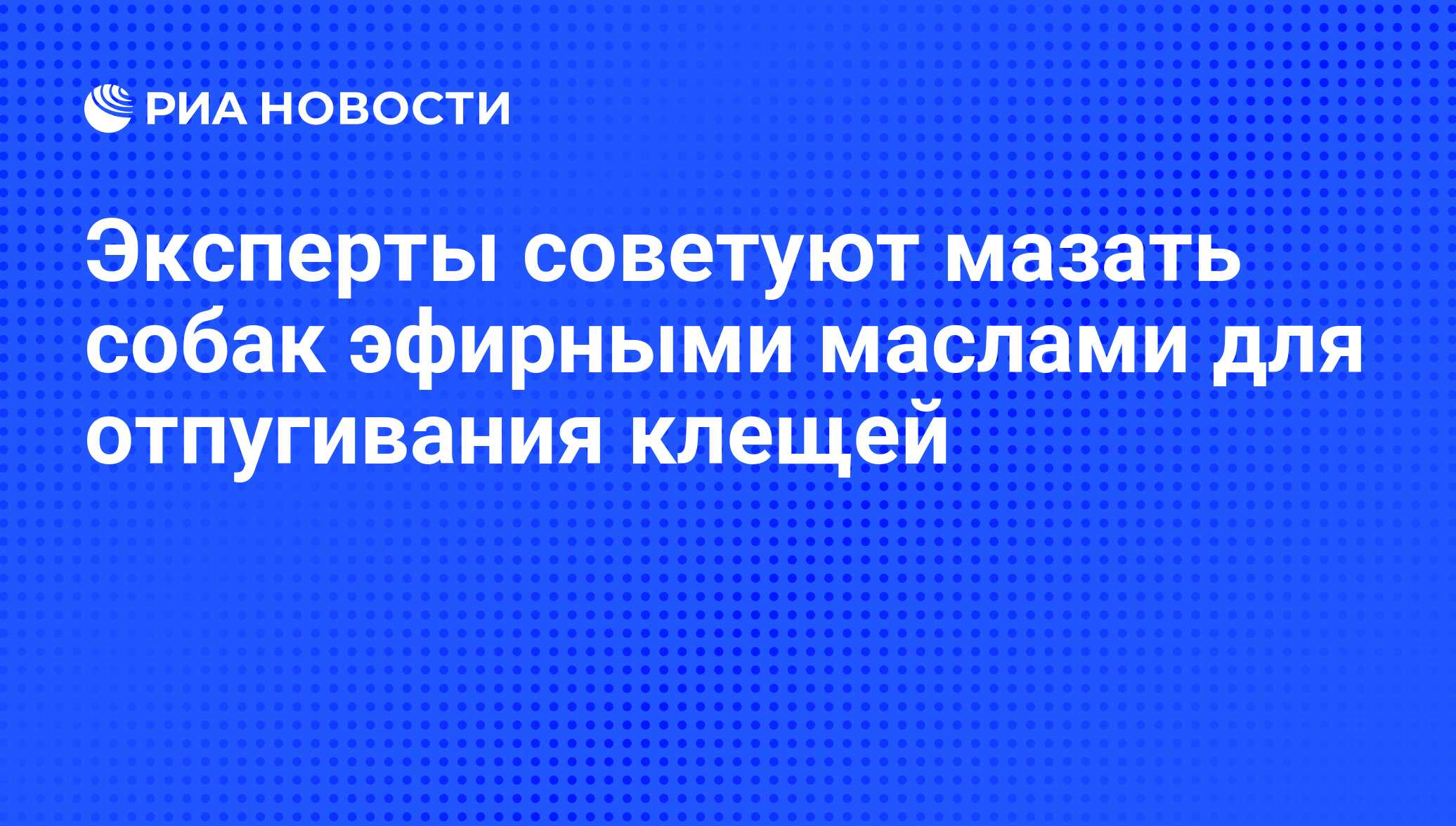 Эксперты советуют мазать собак эфирными маслами для отпугивания клещей -  РИА Новости, 01.03.2020