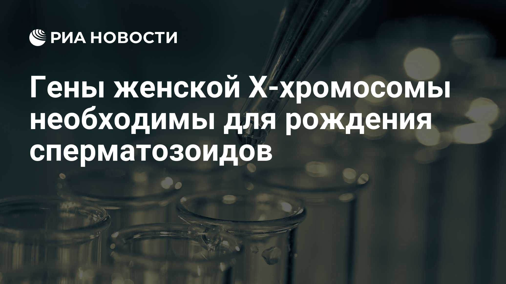 приколы с именем гена. магазин гена. люблю тебя гена. самая крутая куртка 2024 года бренд. бренд hera одежда.