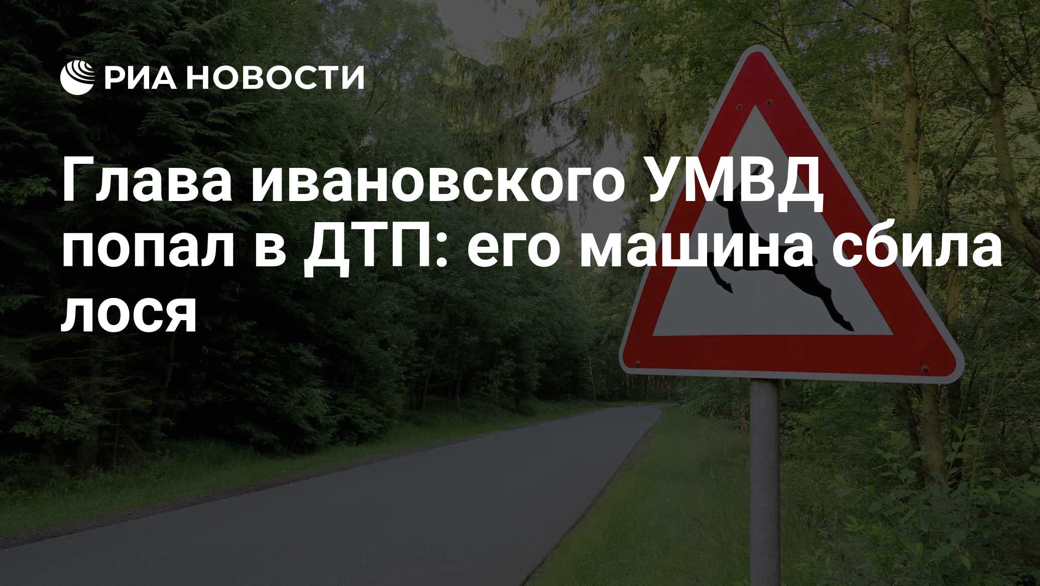 Глава ивановского УМВД попал в ДТП: его машина сбила лося - РИА Новости,  01.03.2020