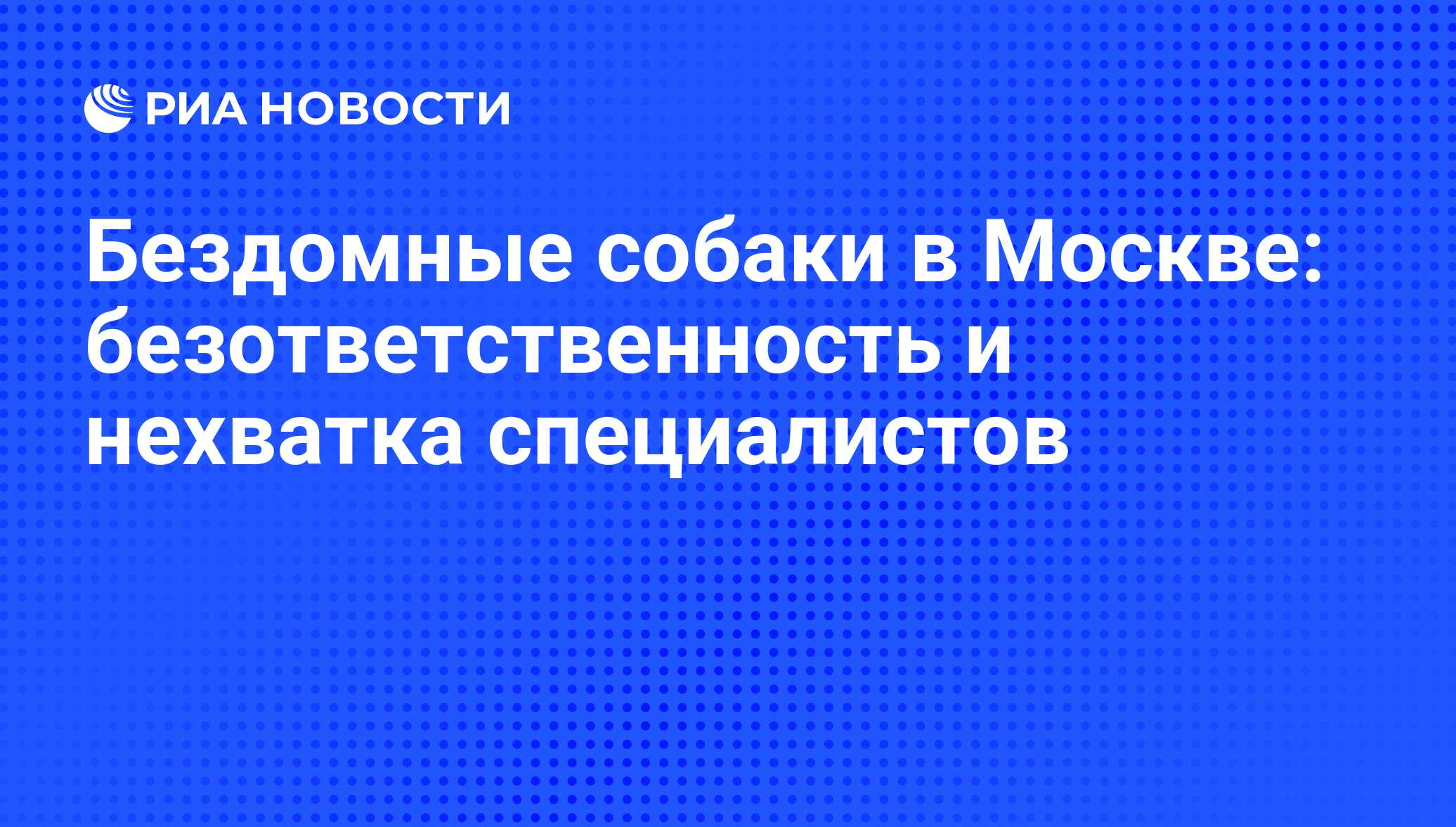 Бездомные собаки в Москве: безответственность и нехватка специалистов - РИА  Новости, 01.03.2020