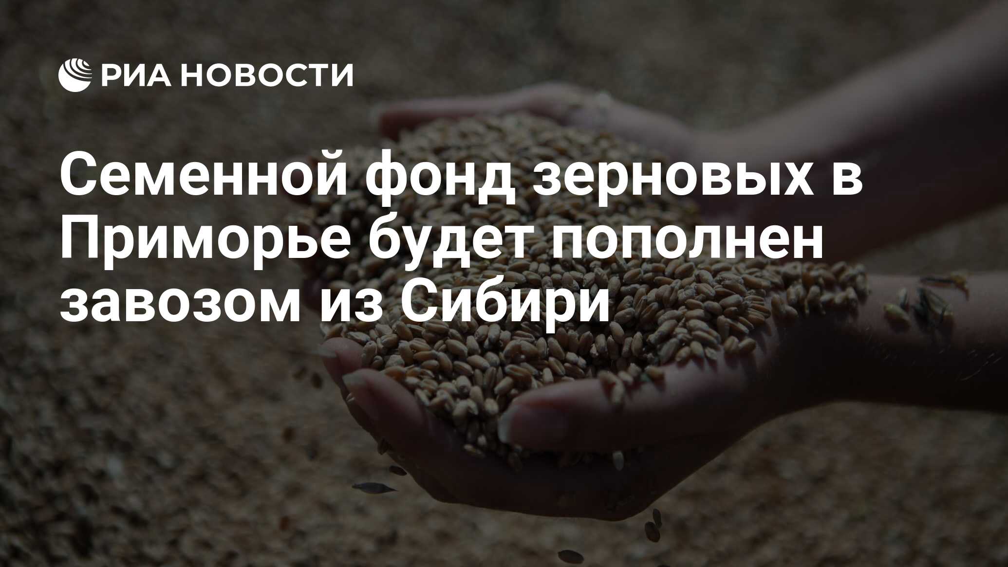 Фонд зерно. Фонд зерно. Запасы зерна. Амбар с пшеницей. Фонд зерно.