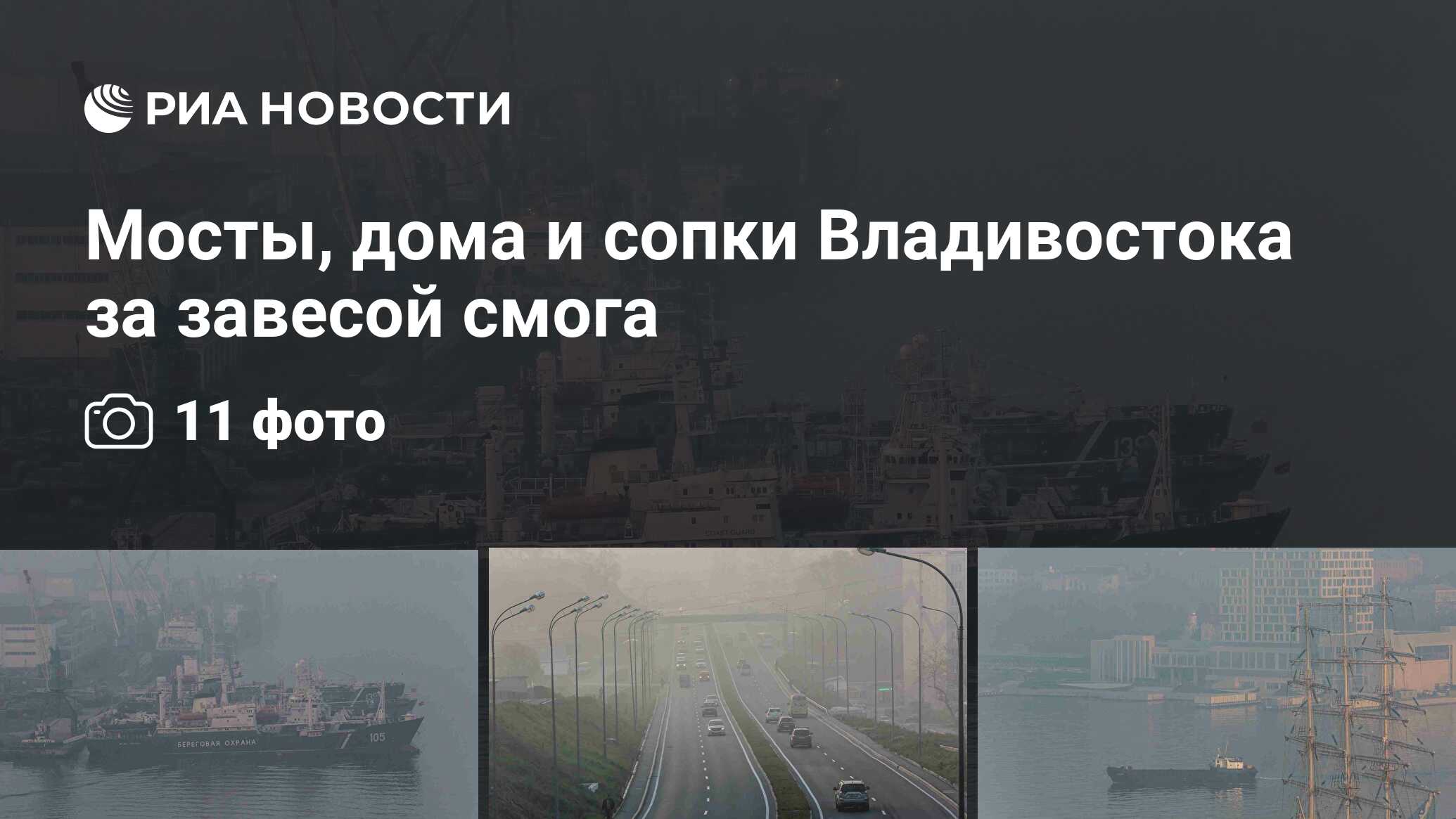 Мосты, дома и сопки Владивостока за завесой смога - РИА Новости, 01.03.2020