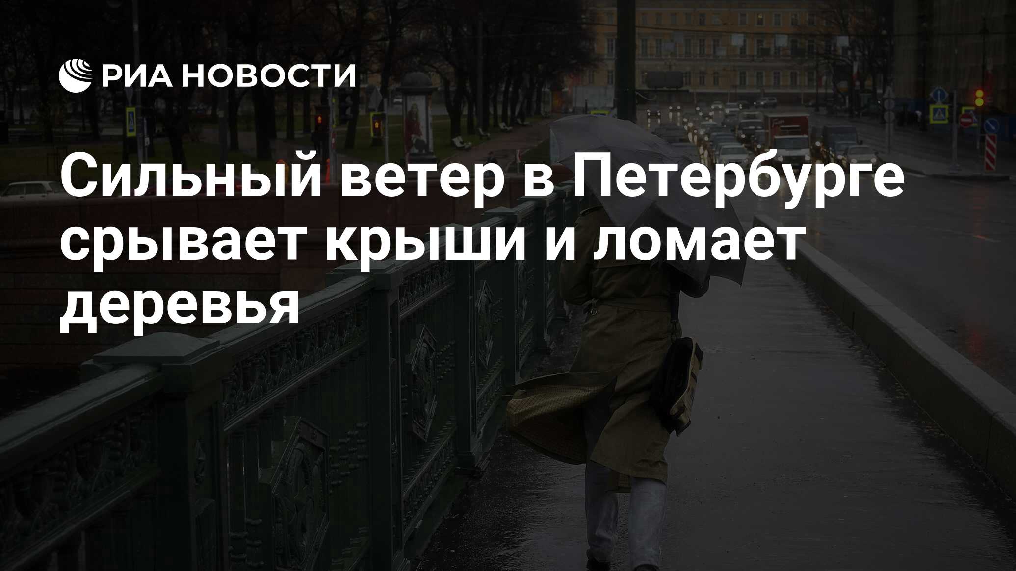 Сильный ветер в Петербурге срывает крыши и ломает деревья - РИА Новости,  01.03.2020