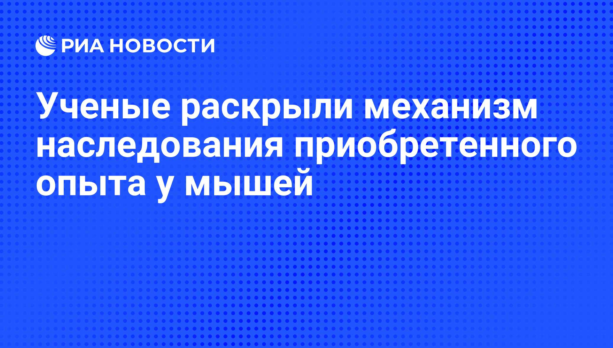 Ученые раскрыли механизм наследования приобретенного опыта у мышей - РИА  Новости, 02.12.2013