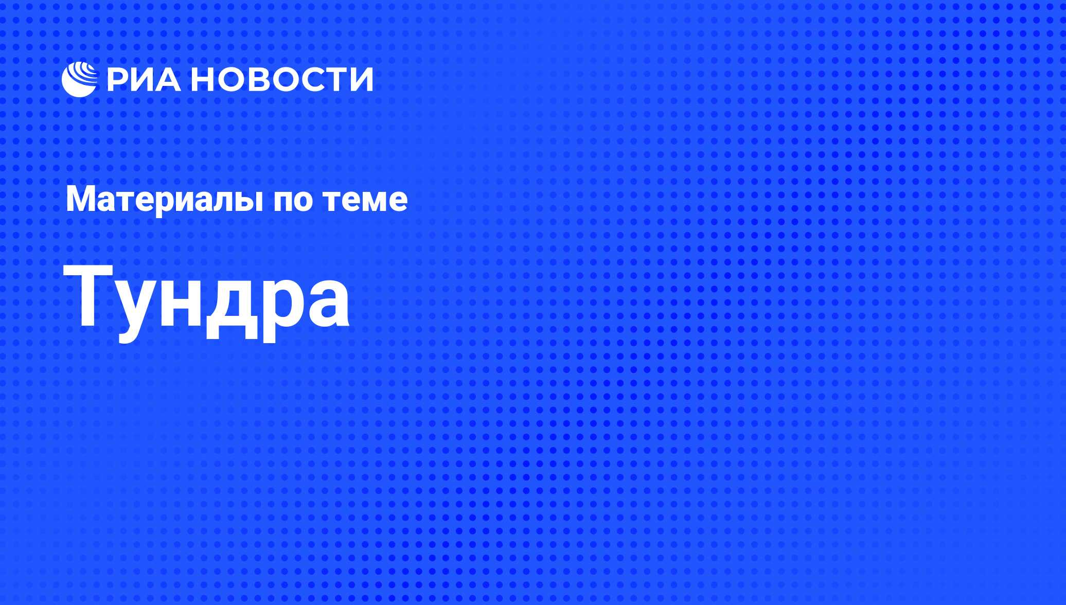 Тундра - последние новости сегодня - РИА Новости