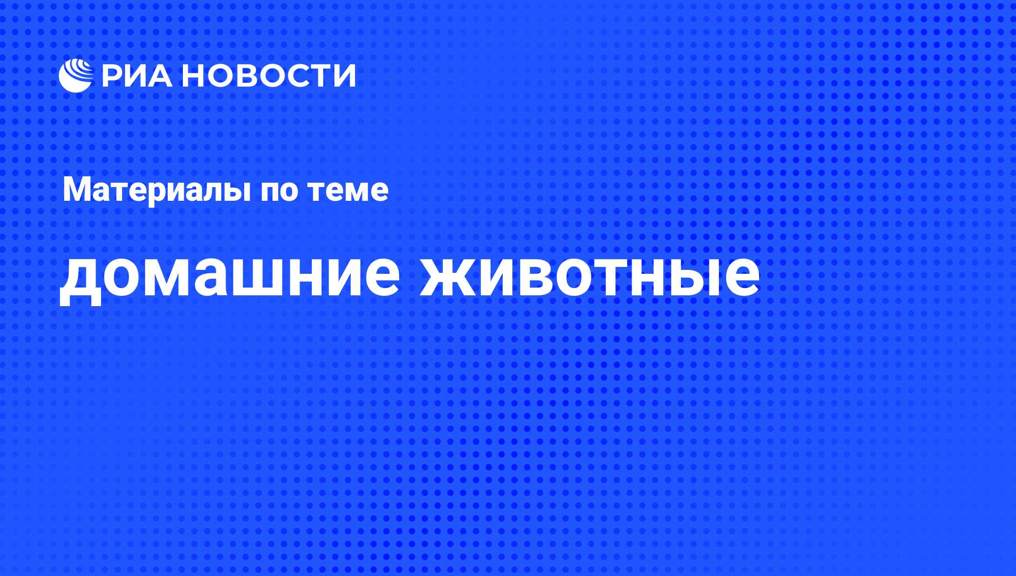 домашние животные - последние новости сегодня - РИА Новости