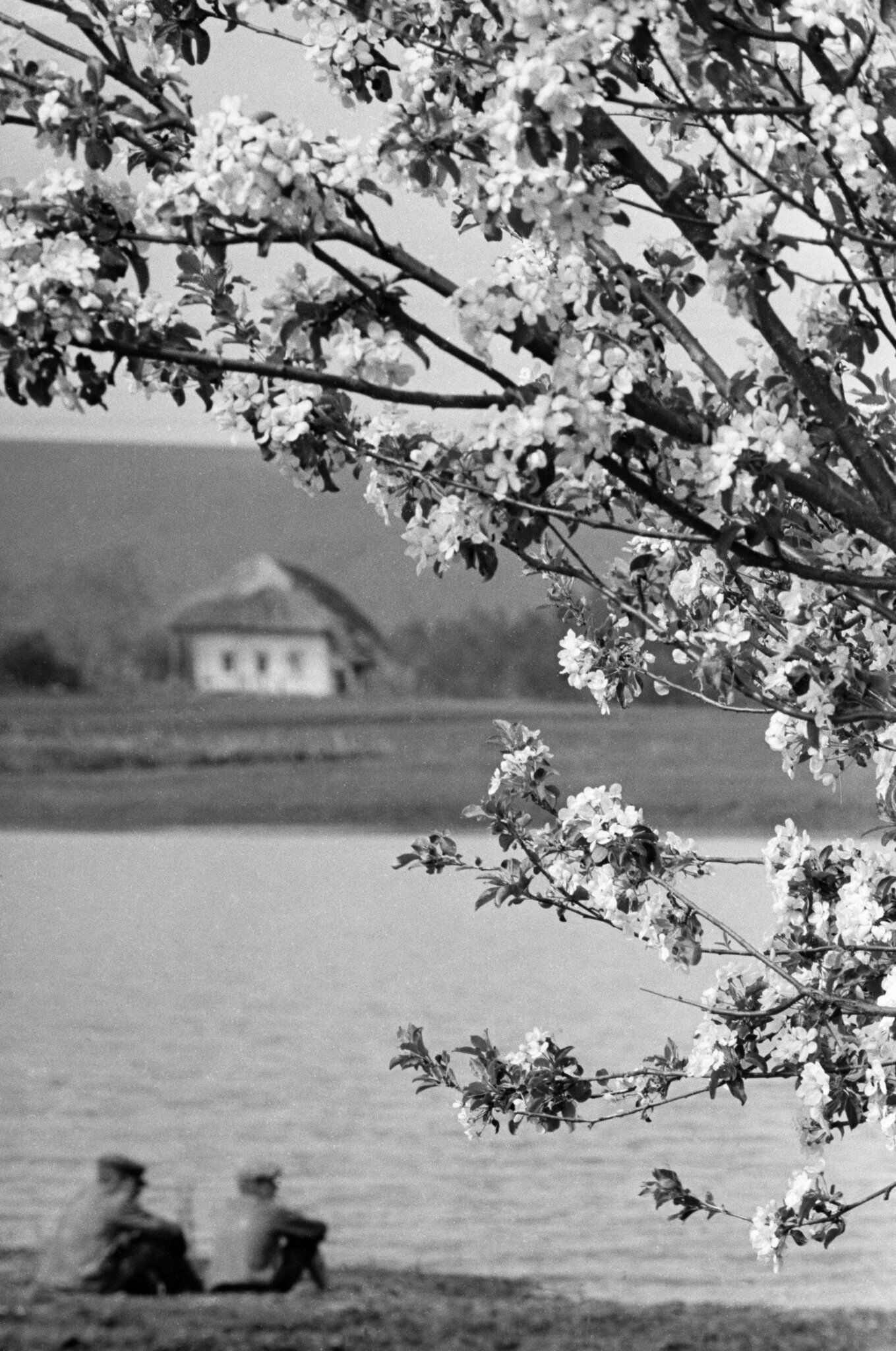 Весна на Украине, деревня Гетмановка. Май 1942 год - РИА Новости, 1920, 29.03.2024