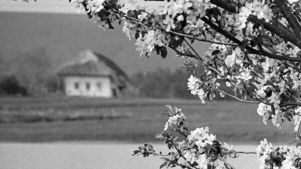 Весна на Украине, деревня Гетмановка. Май 1942 год